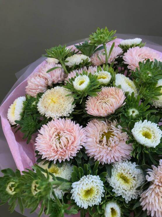 Розовые и белые кустовые астры