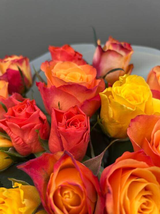 19 поводов для счастья