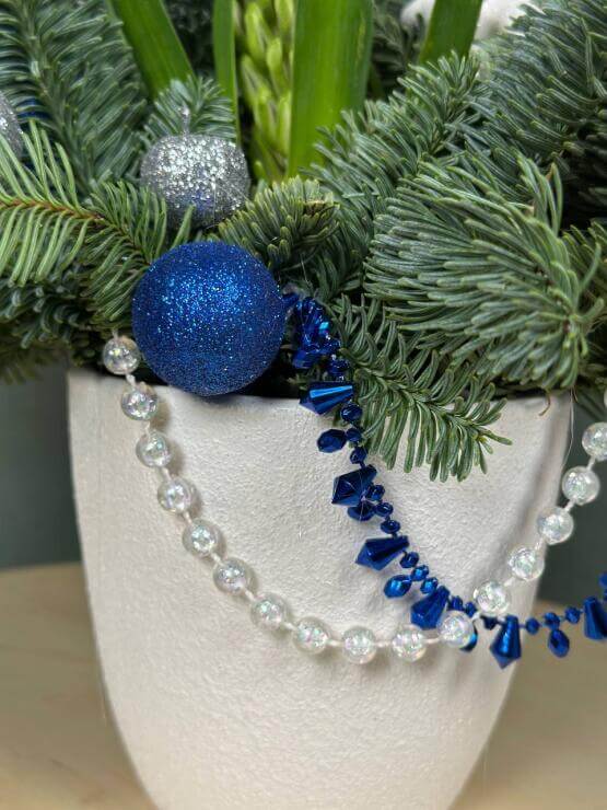 Зимний Гиацинт