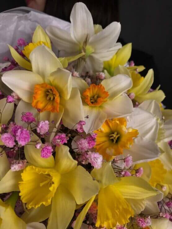 Облачко нарциссов