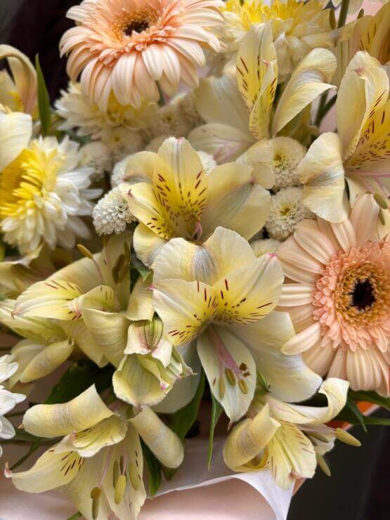 Подарок осени