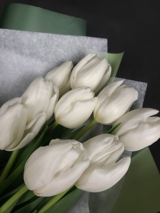 Моно белые тюльпаны
