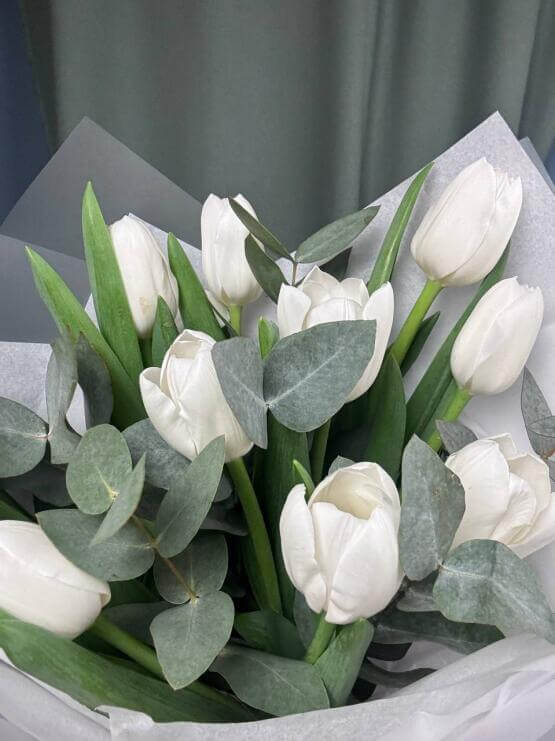 Белый тюльпан