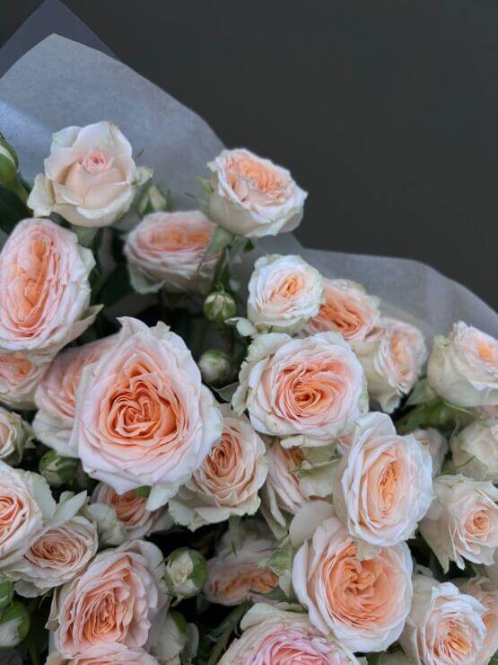 Кенийский крем