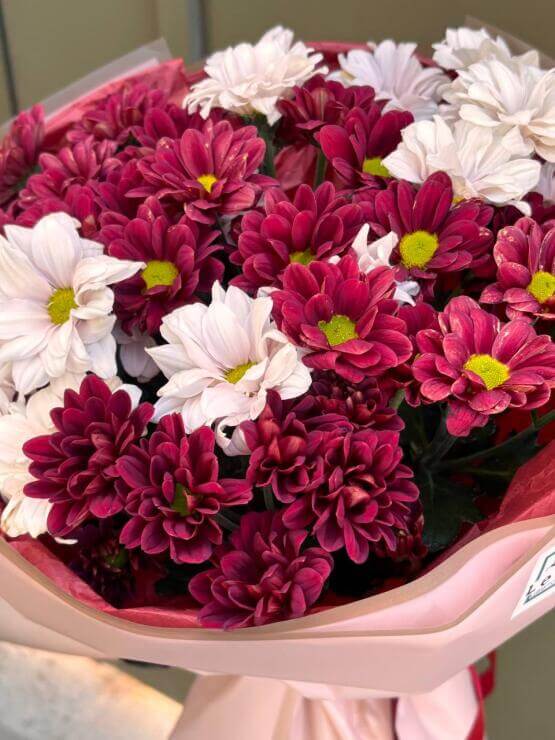 Букет из хризантем, красная и лавандовая кустовая