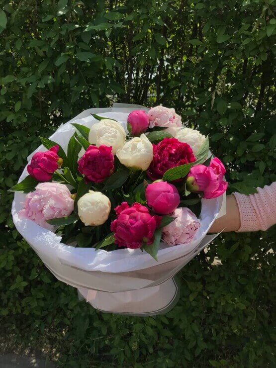 Микс пионов