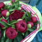 Моно бордовых пионов