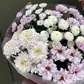 Микс кустовых хризантем
