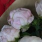 7 розовых пионов с эвкалиптом