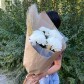 Большие белые хризантемы
