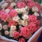11 кустовых роз