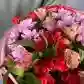 Вдохновение