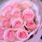 Моно розовых роз