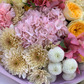 Объятия солнца