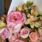 Розовые франузкие розы