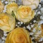 "Лучик солнца" Букет из гипсофилы и пионовидных роз